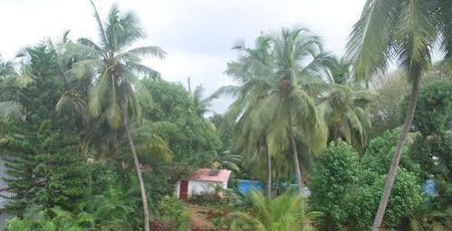 Gabriel Guest House Calangute Kültér fotó